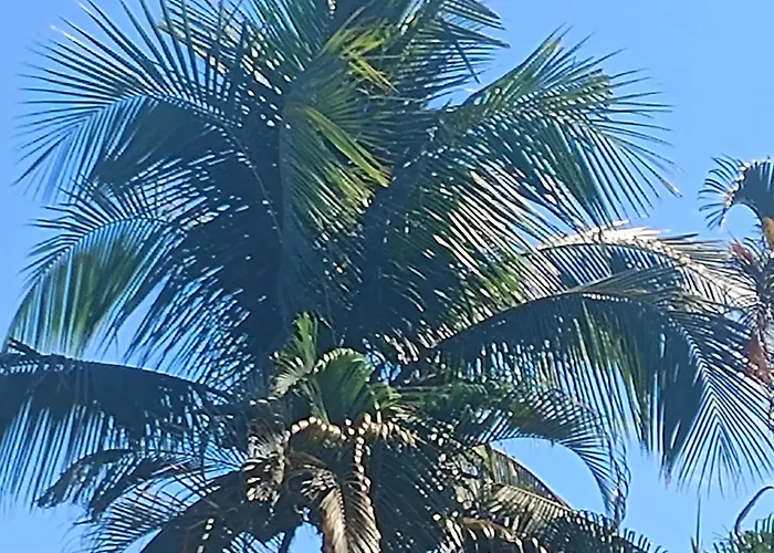 Pousada Nova Primavera