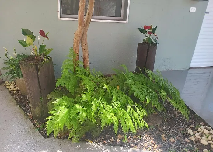 Pousada Nova Primavera