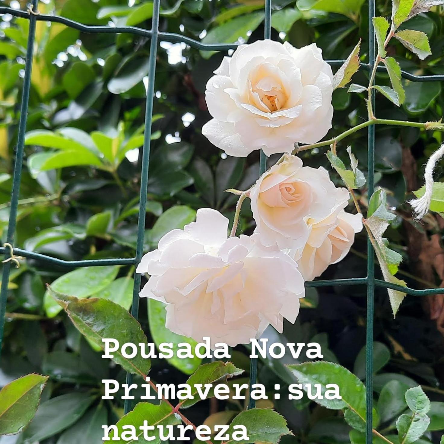 Estalagem Nova Primavera