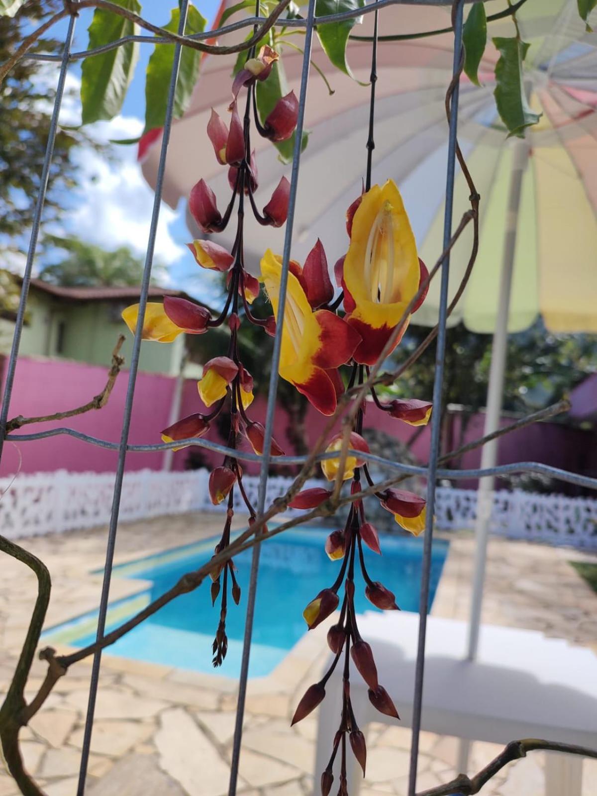 Nova Primavera 賓館 Ubatuba